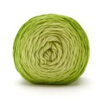 Anti-Pilling Everyday® Worsted Gradient