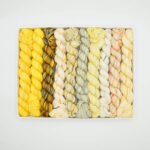 Koigu Pencil Box
